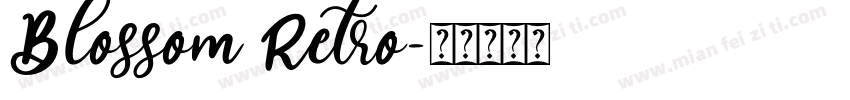 Blossom Retro字体转换